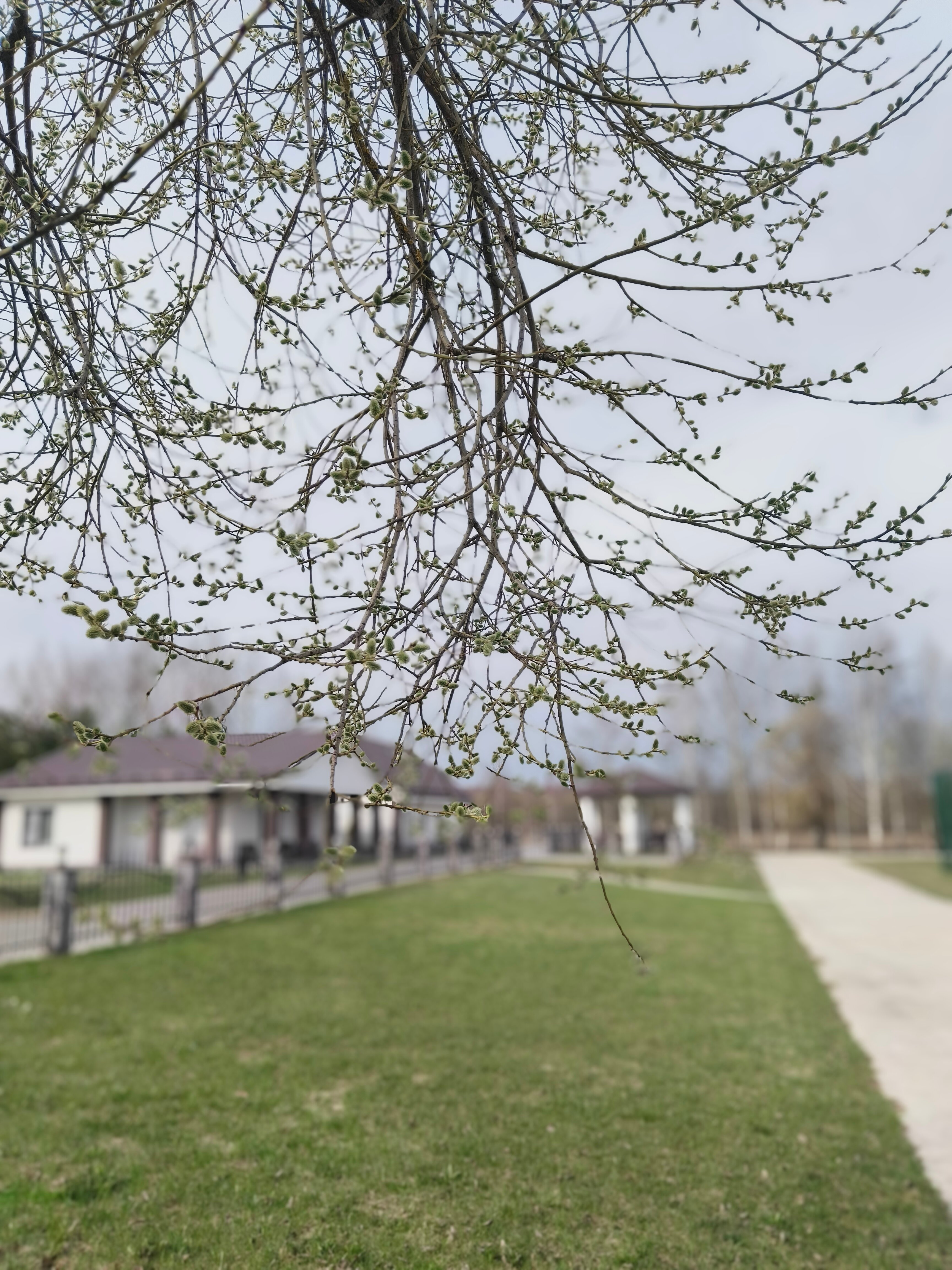 Фото La Confiture