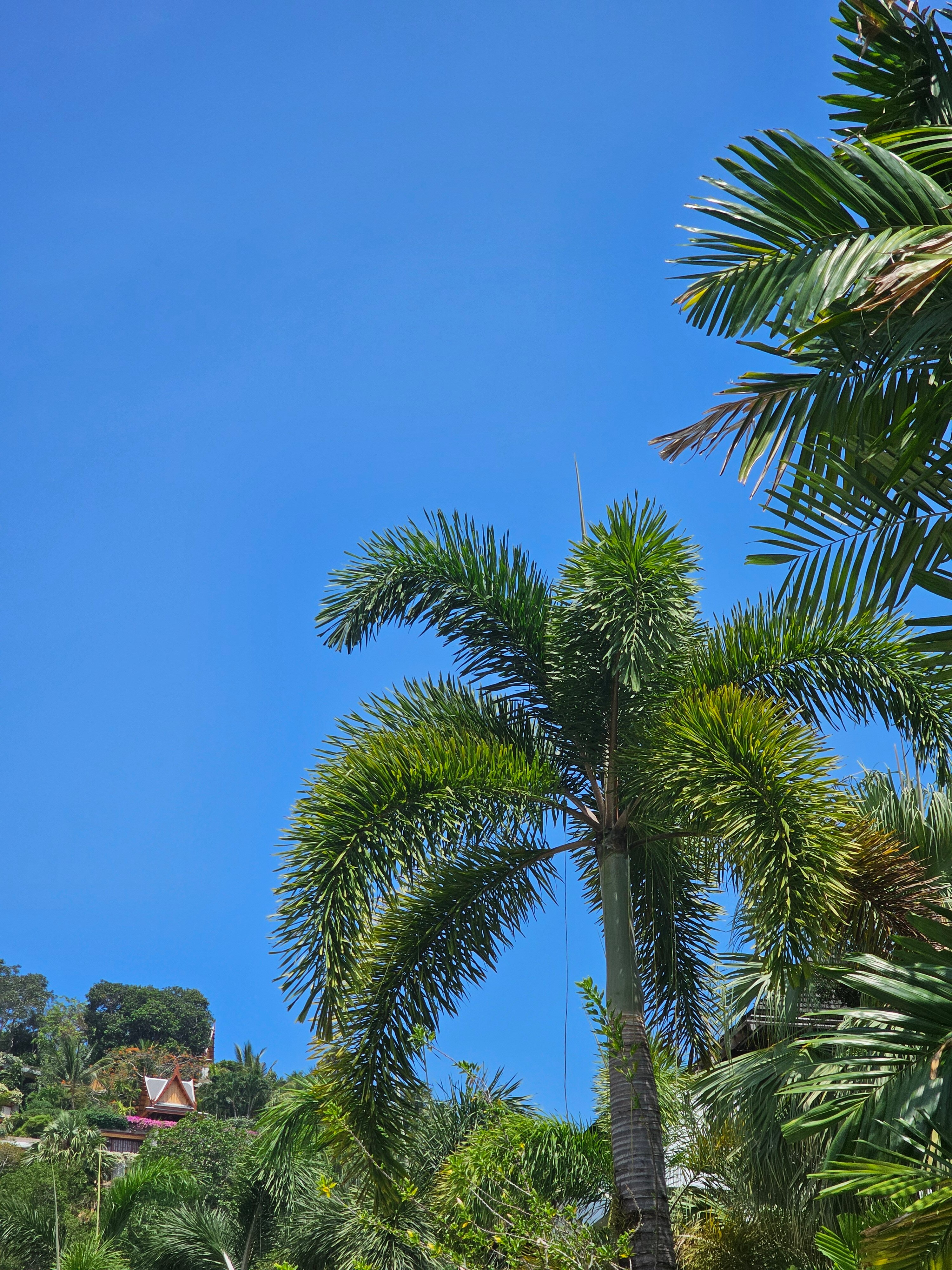 Фото Bangtao Beach Garden