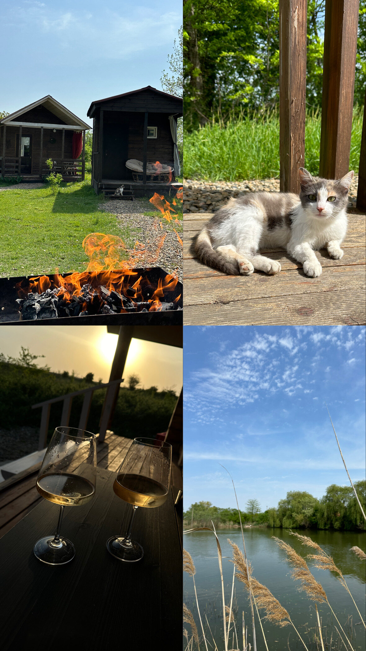 Фото Пруд Пруди