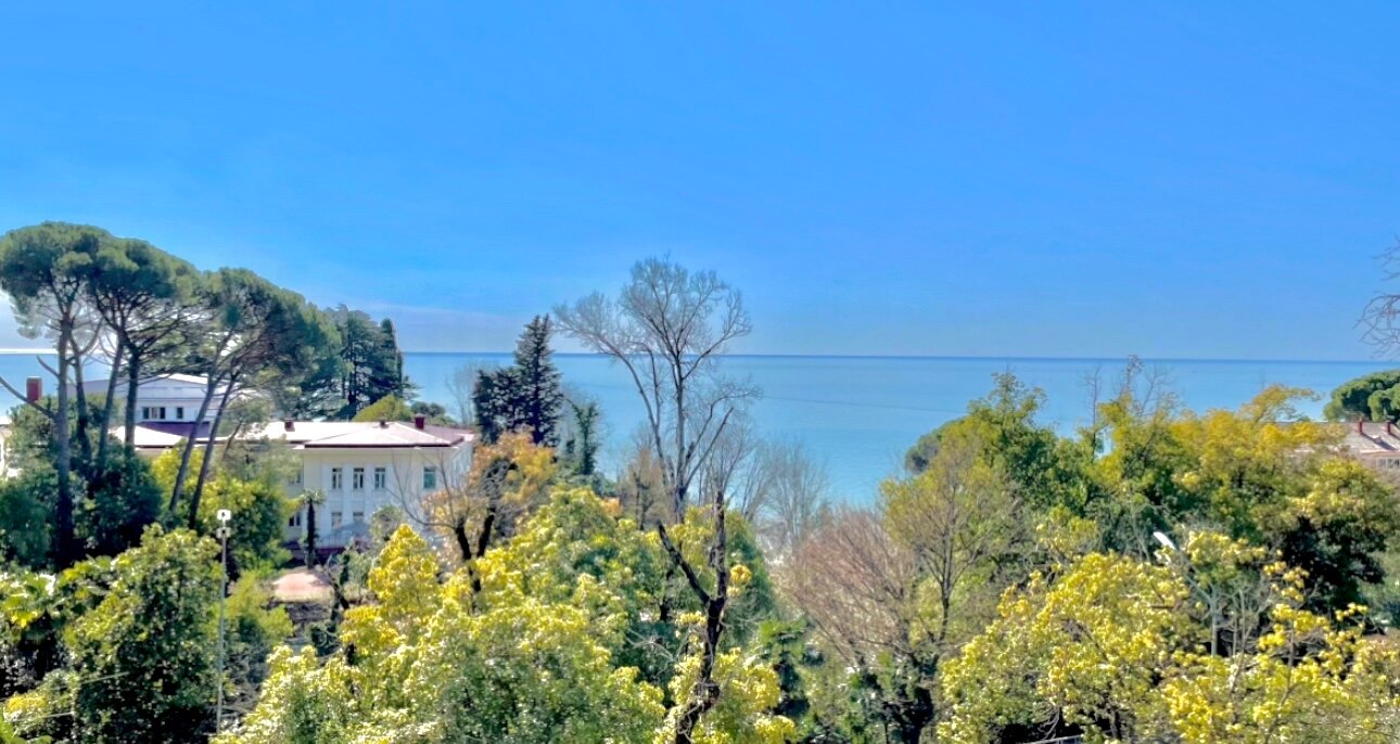 Фото Катюша