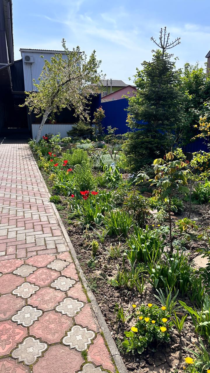 Фото Моника