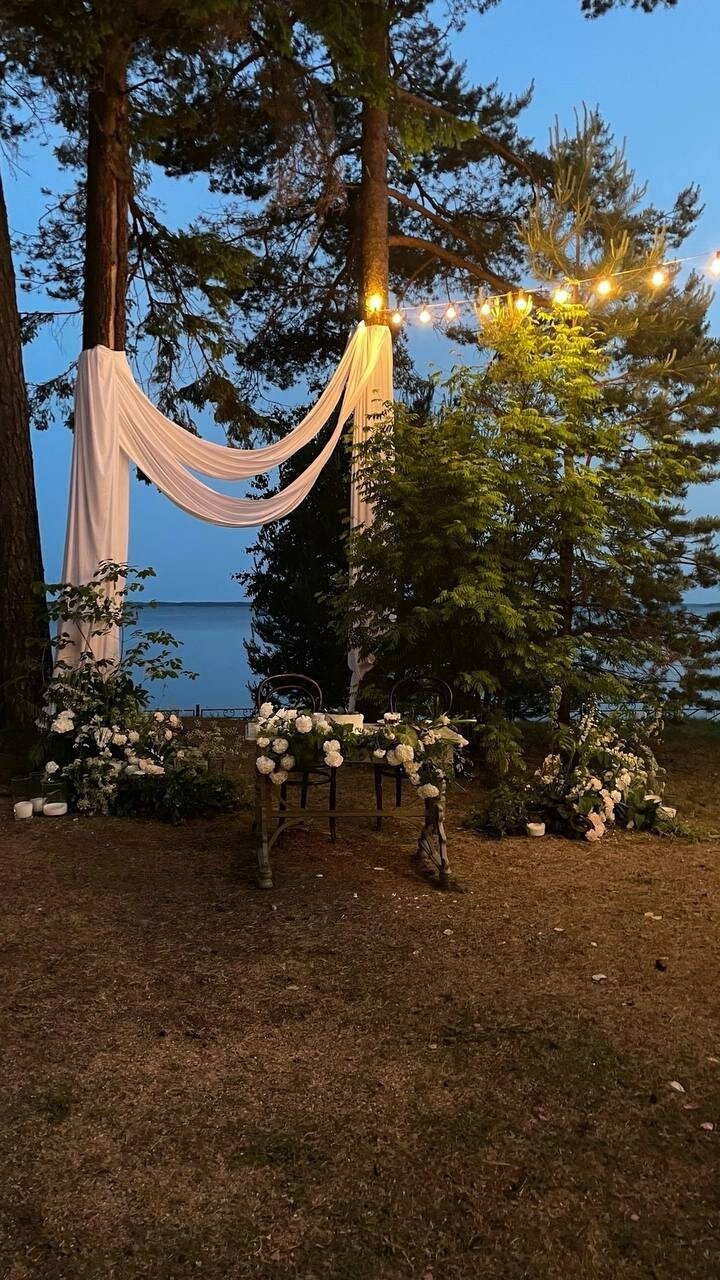 Фото Солнечный бор