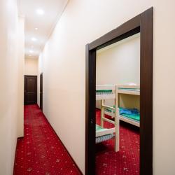 Фото Вежливый лось на Дмитровской