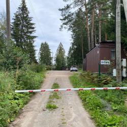 Фото Green Forest