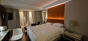 Radisson Blu Bosphorus Hotel İstanbul (İstanbul, Beşiktaş, Çırağan Cad., 46A), otel  Beşiktaş'tan