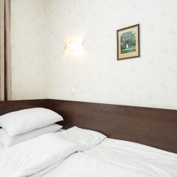 Фото Дубрава