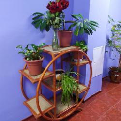 Фото На Бульваре