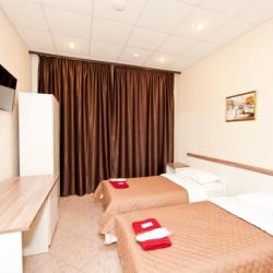 Фото Ладомир