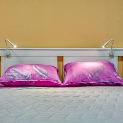 Фото Ладомир