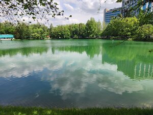 Японский сад просп амира темура 107а фото Yangi Oʻzbekiston bogʻi, madaniyat va istirohat bog‘i, Toshkent, Yangi Oʻzbekist