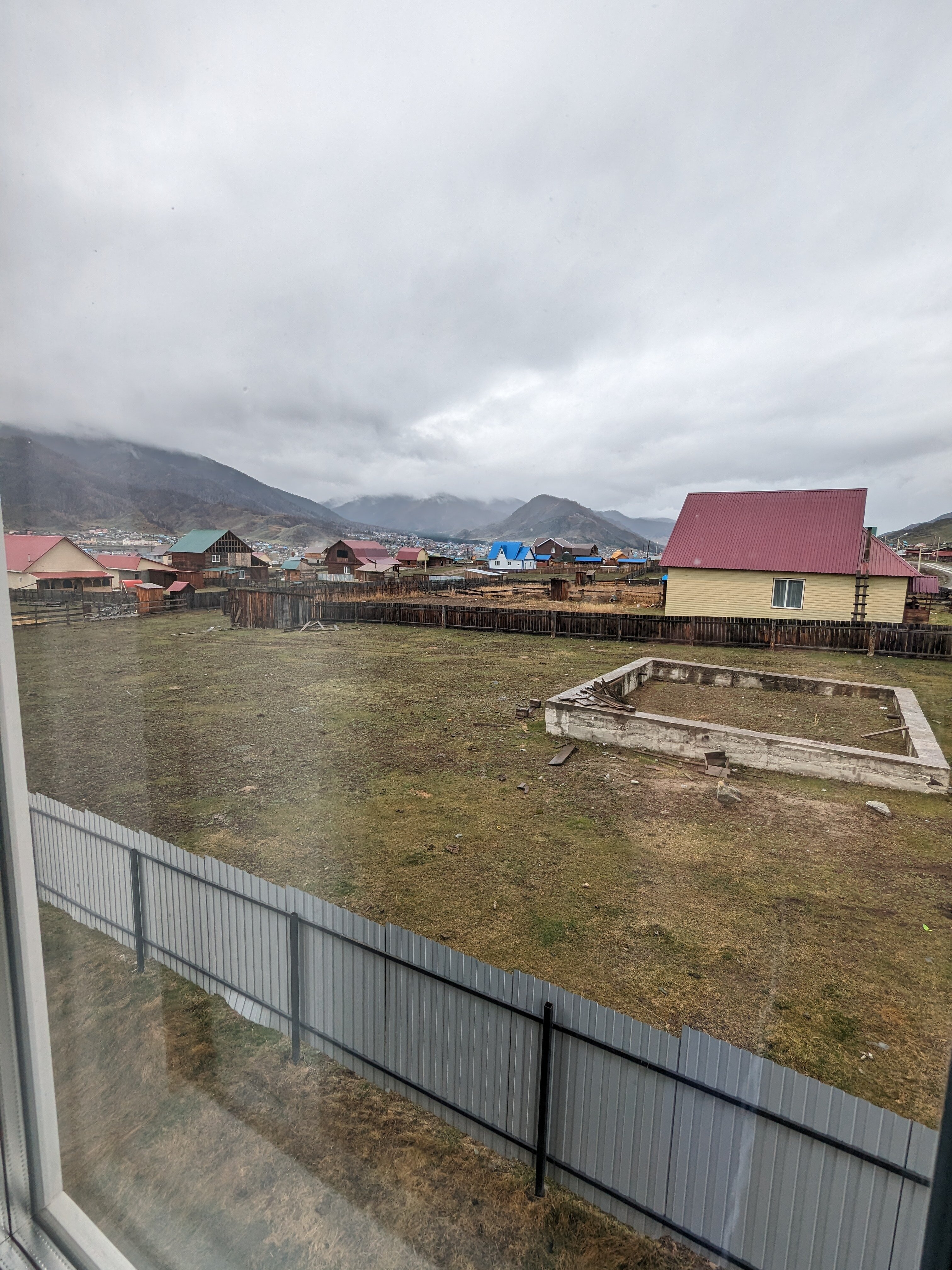 Фото Дикий Еж