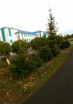Центральная районная больница (selo Zdvinsk, ulitsa Kalinina, 8), hospital