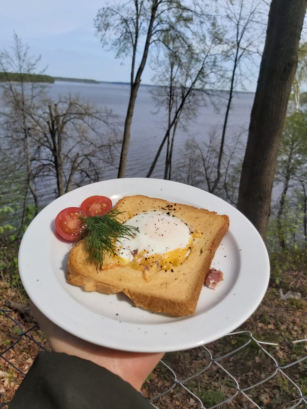 Фото Высокий берег