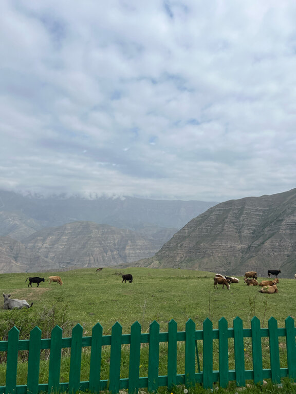 Фото Орлиное гнездо