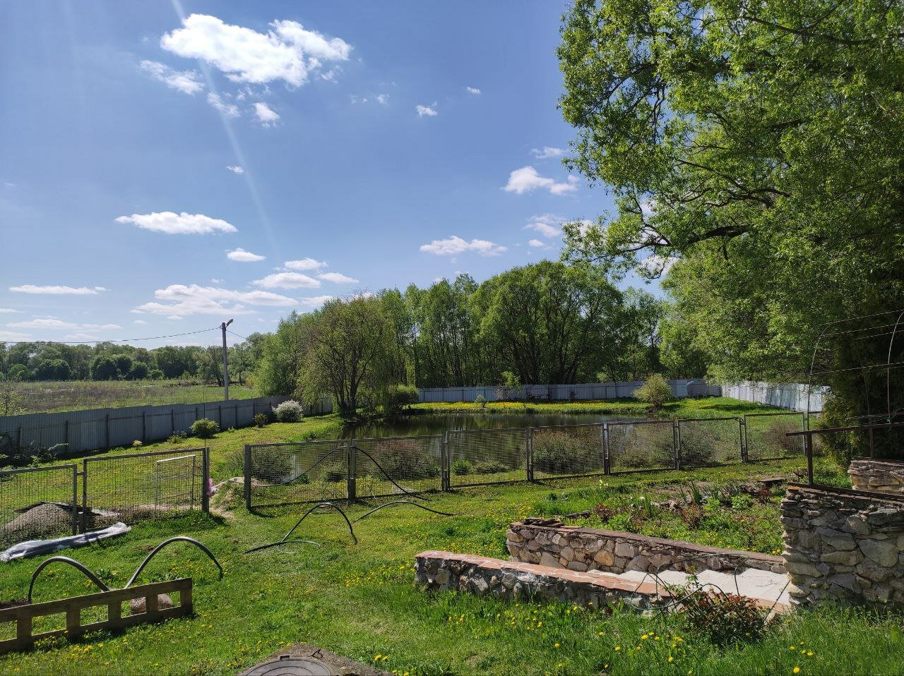 Фото Лесное Озеро