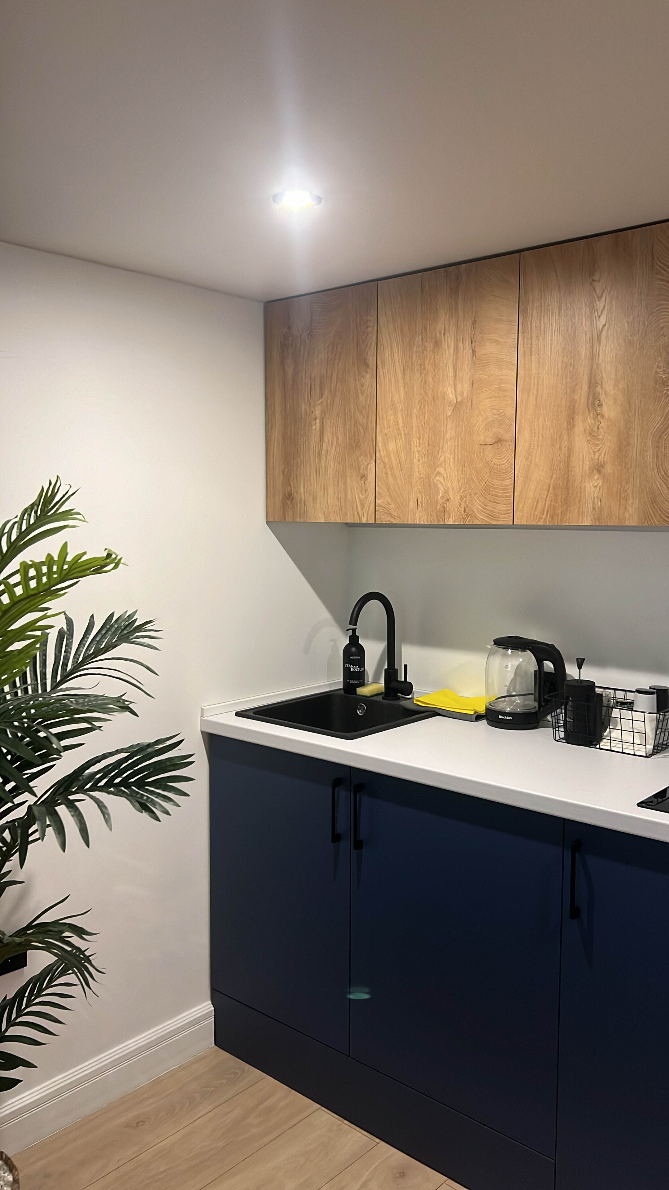 Фото Raido. Moscow Forest