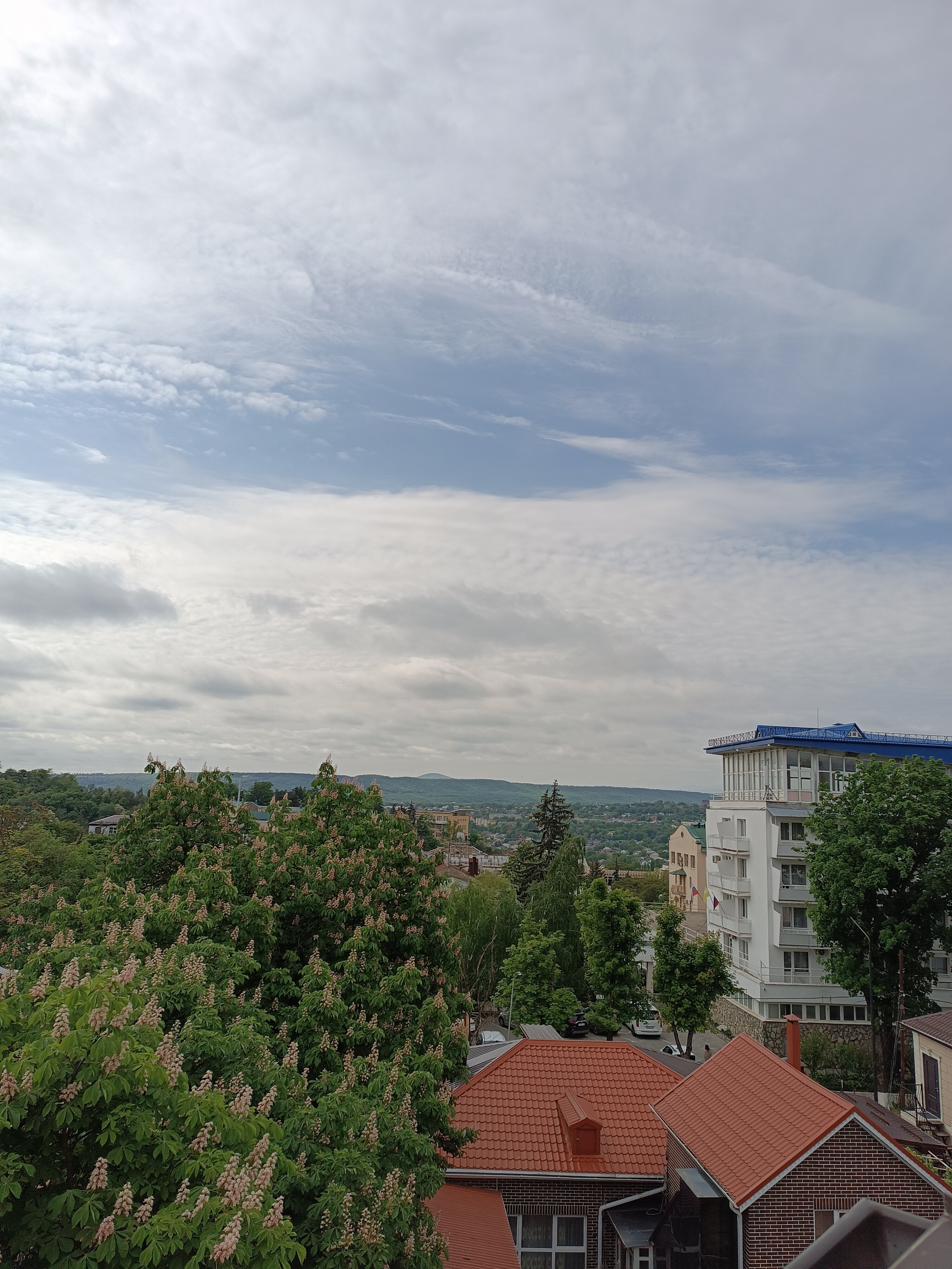 Фото Роза Кавказа