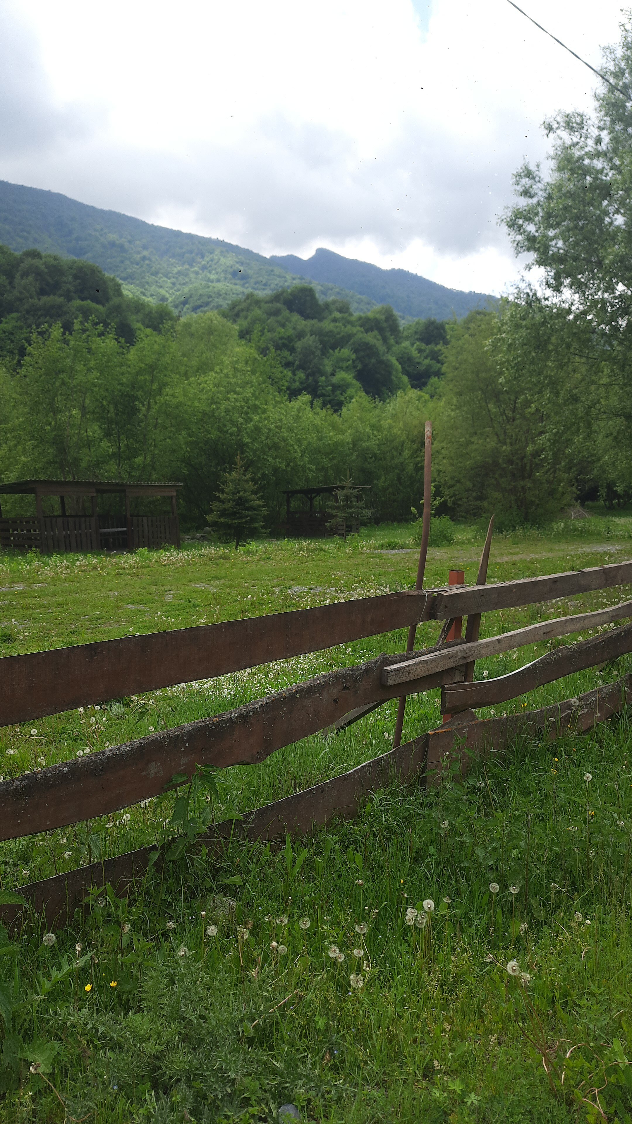 Фото Ривер Хаус