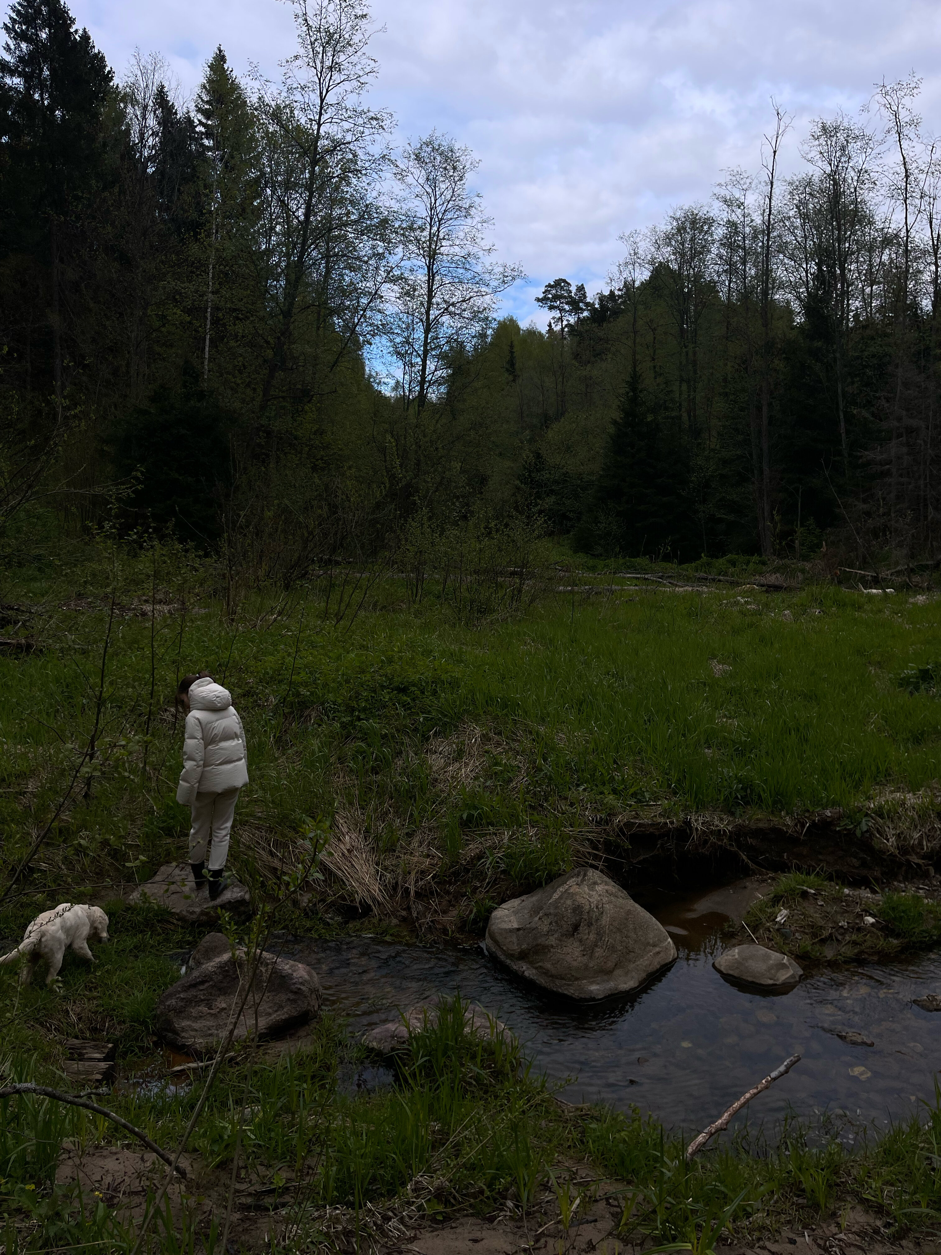 Фото Парк Север