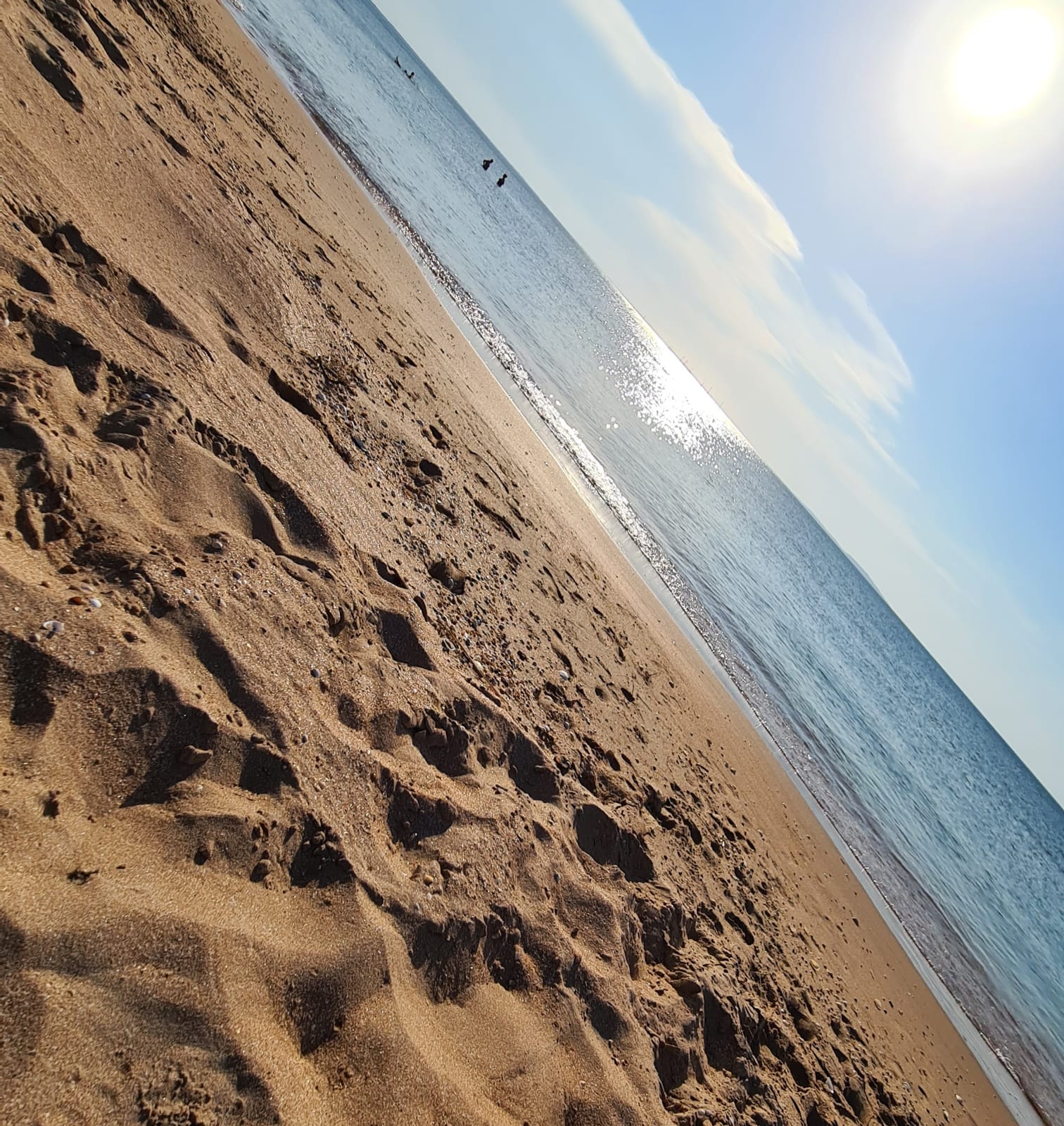 Фото Алмарис