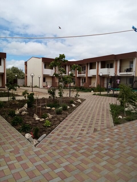 Фото Алмарис