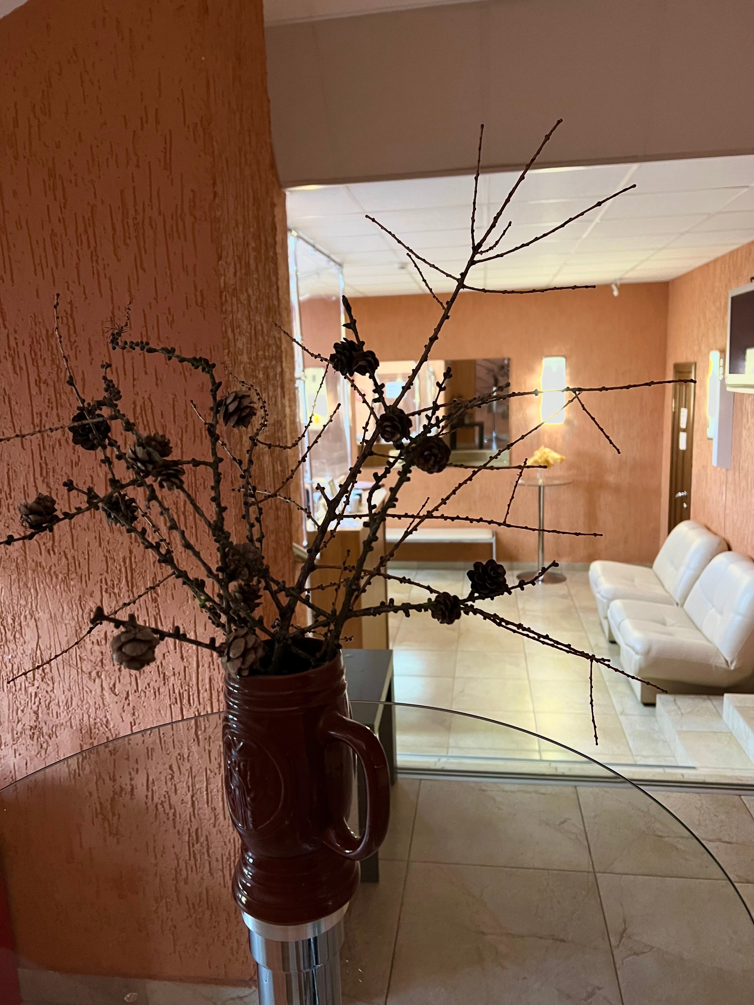 Фото Петровский