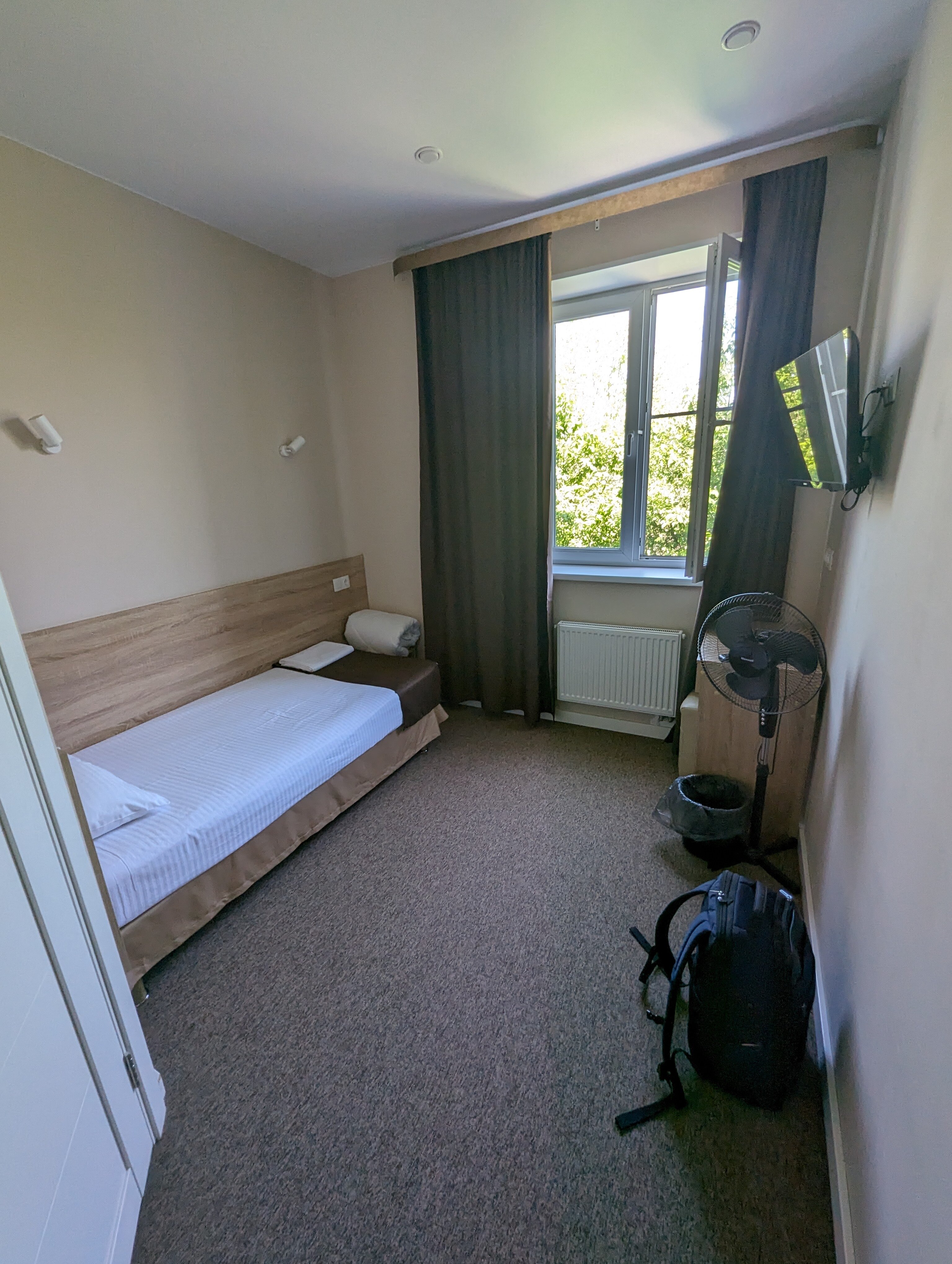 Фото Сова в Шереметьево