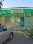 Авокадо (selo Potodeyevo, ulitsa Lenina, 56) ، محل بقالة