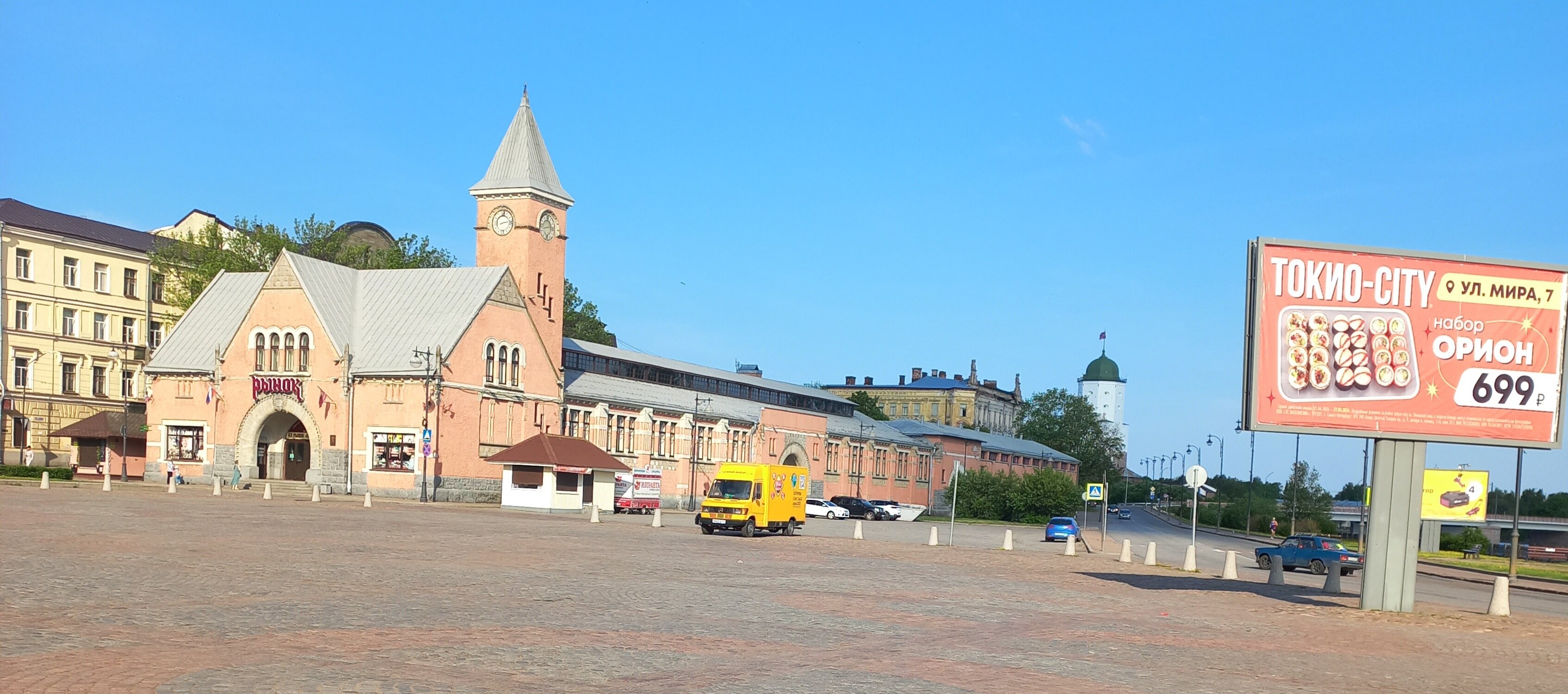 Фото Летучая мышь