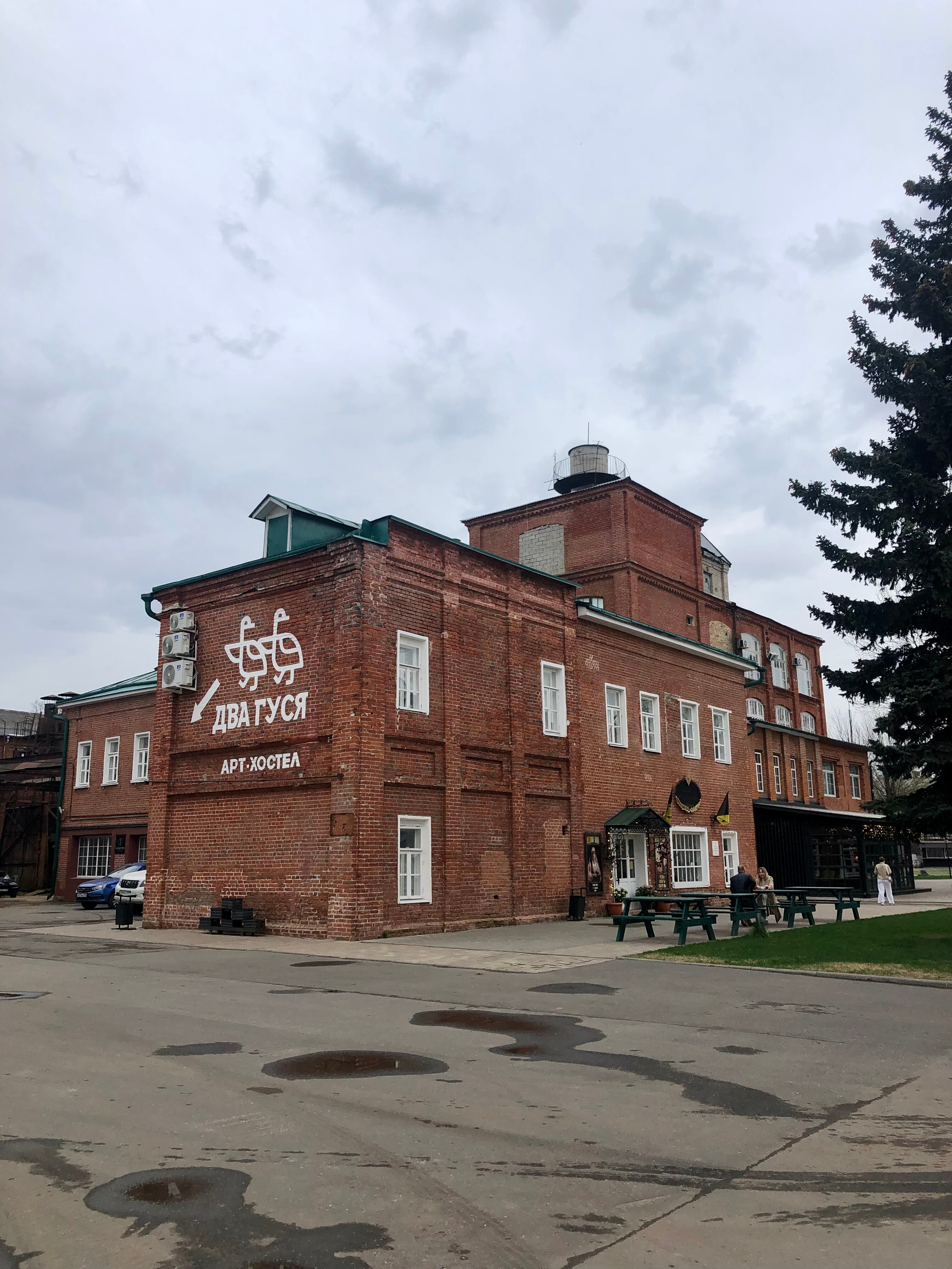 Фото Два гуся