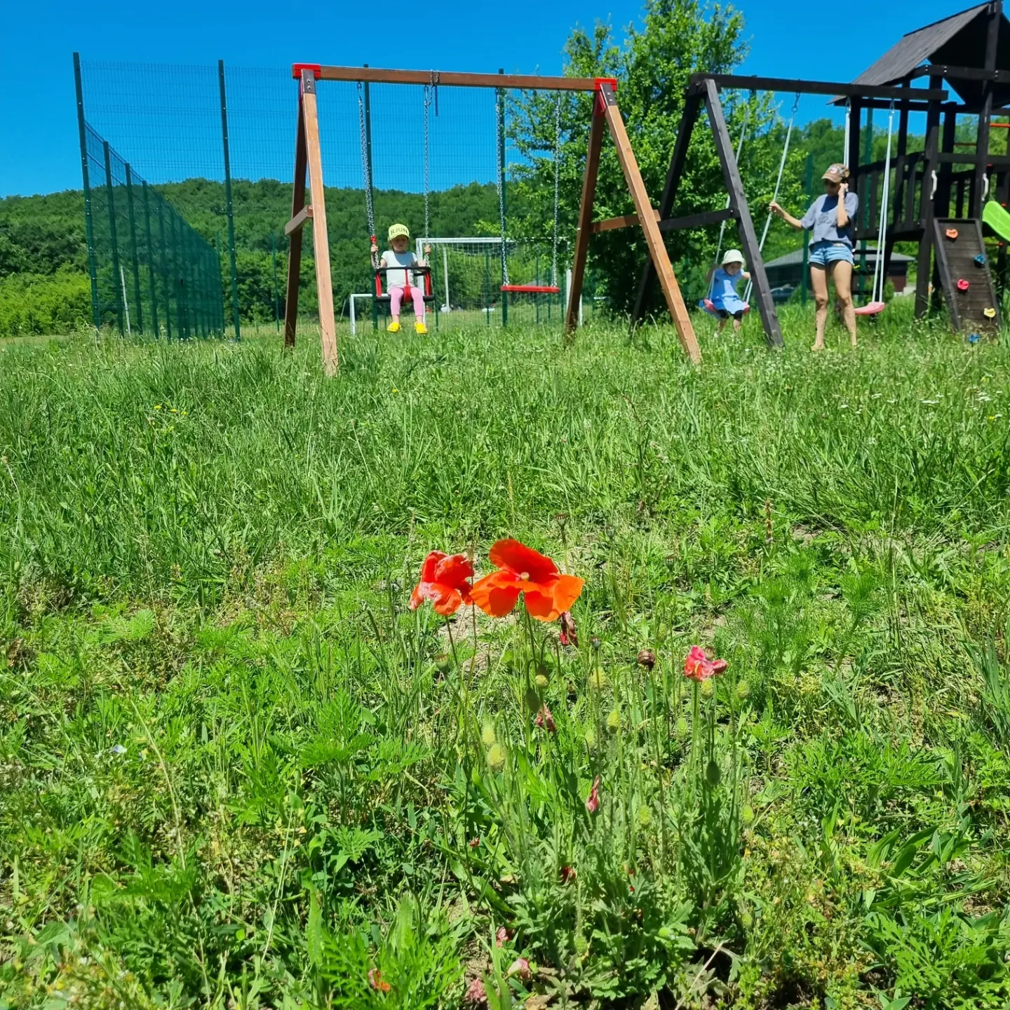 Фото Дубровский