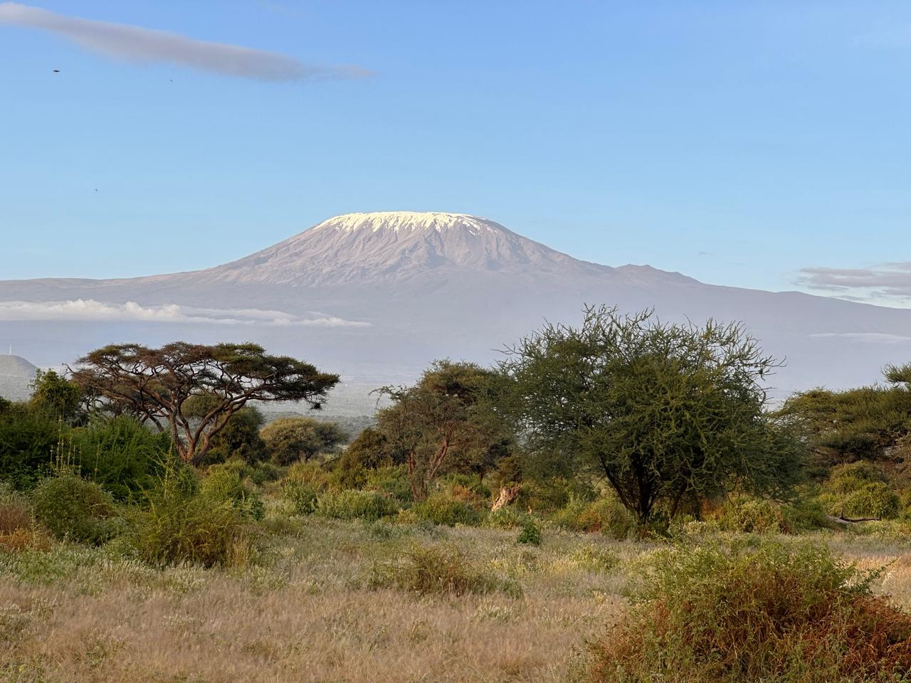 Фото Mara Topi Safari Lodge
