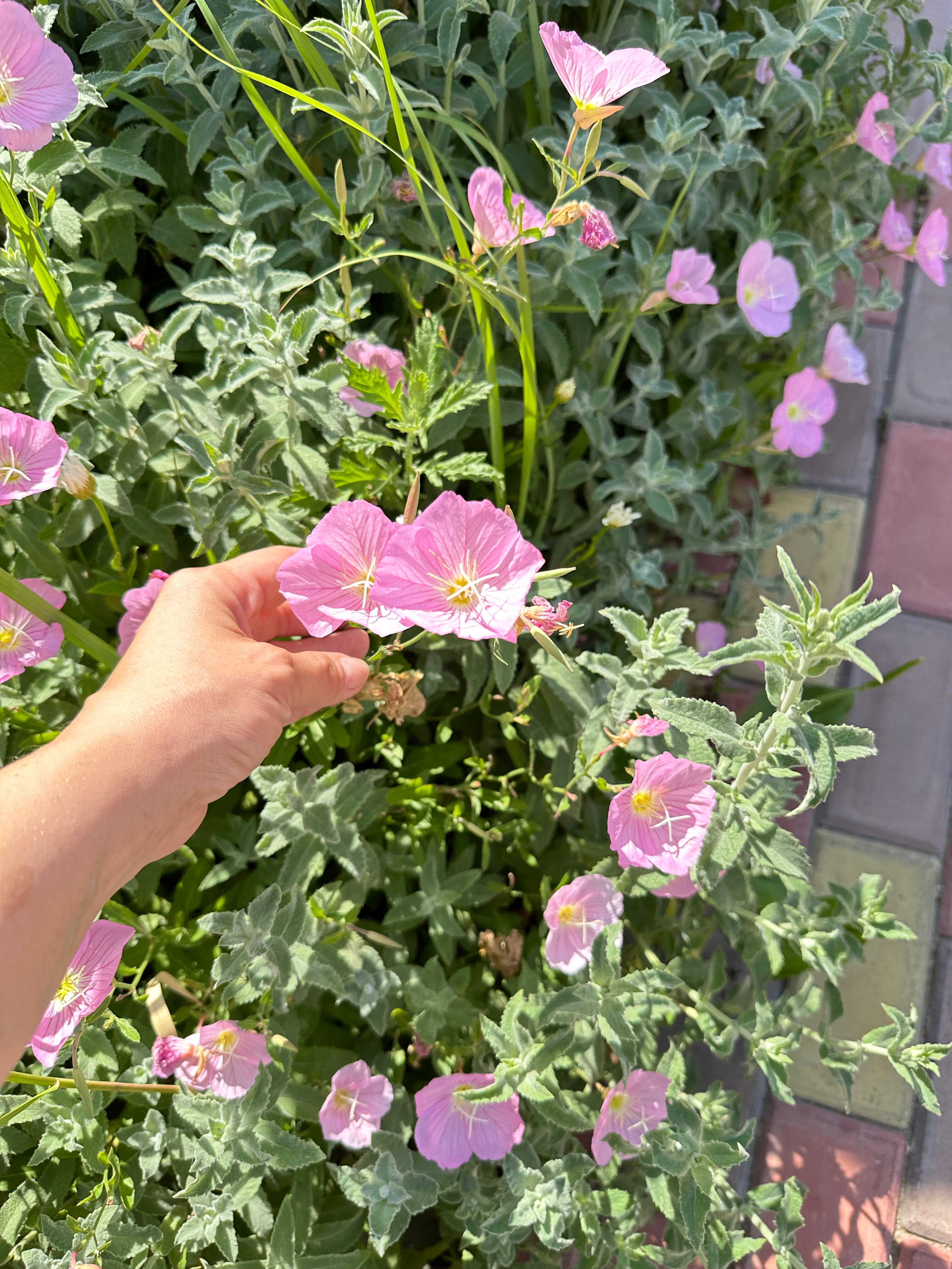 Фото Белогорье