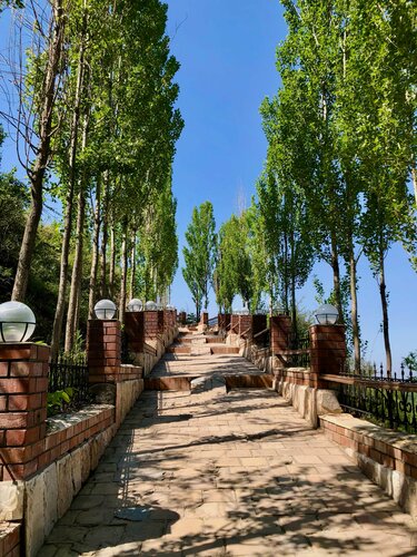 Tukli mushuk külotlarda pees