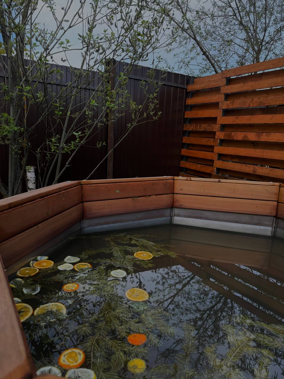 Фото Дружба