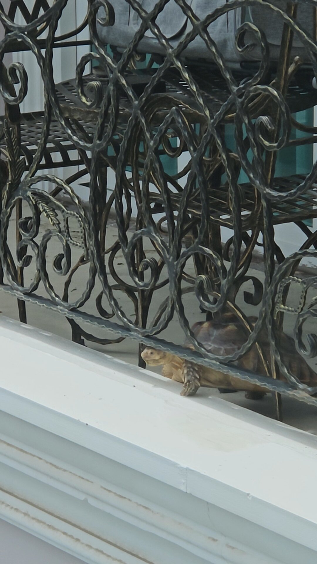 Фото LK Emerald Beach Pattaya