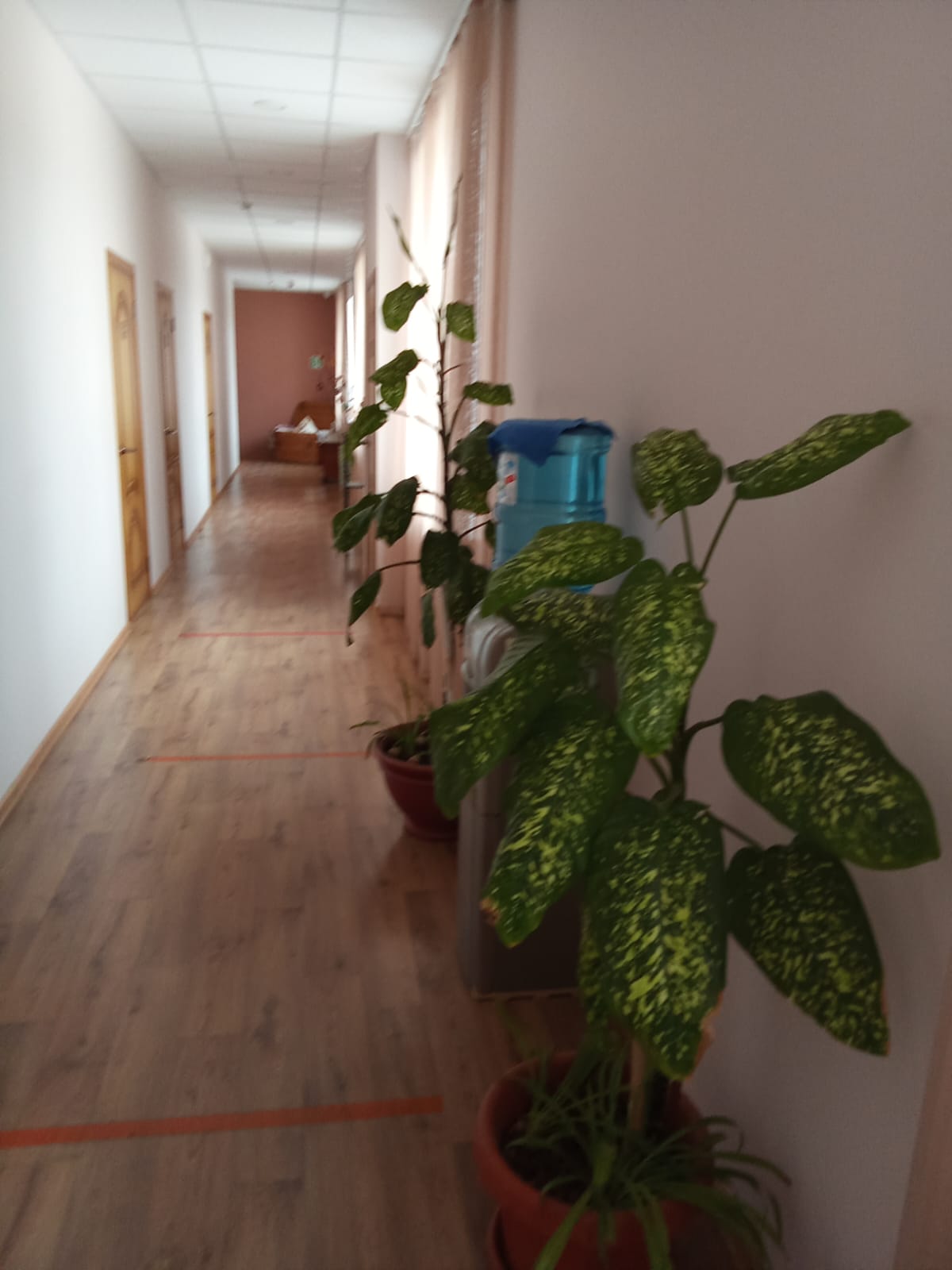 Фото Сон & Лён