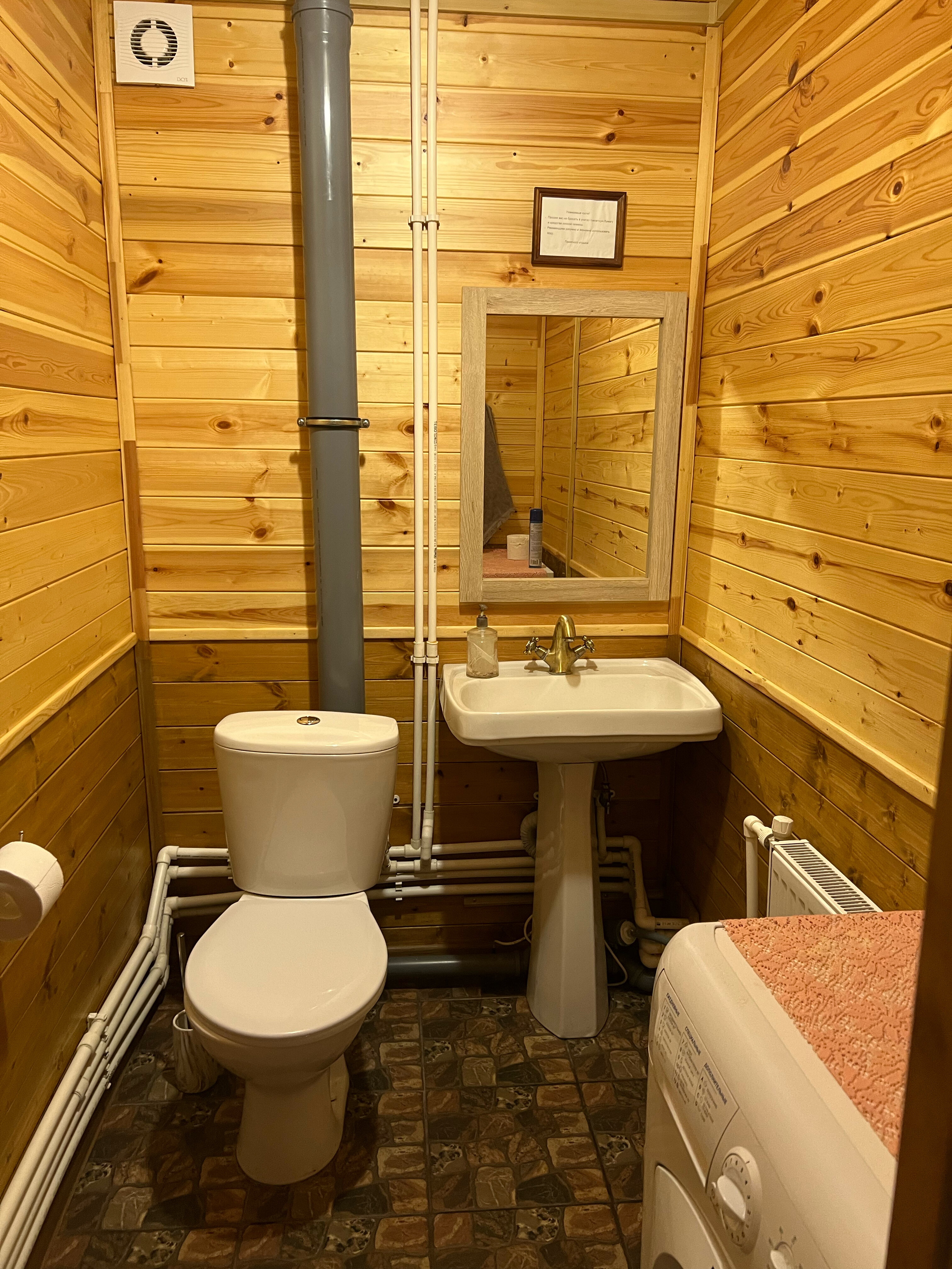 Фото Сосны-Лес