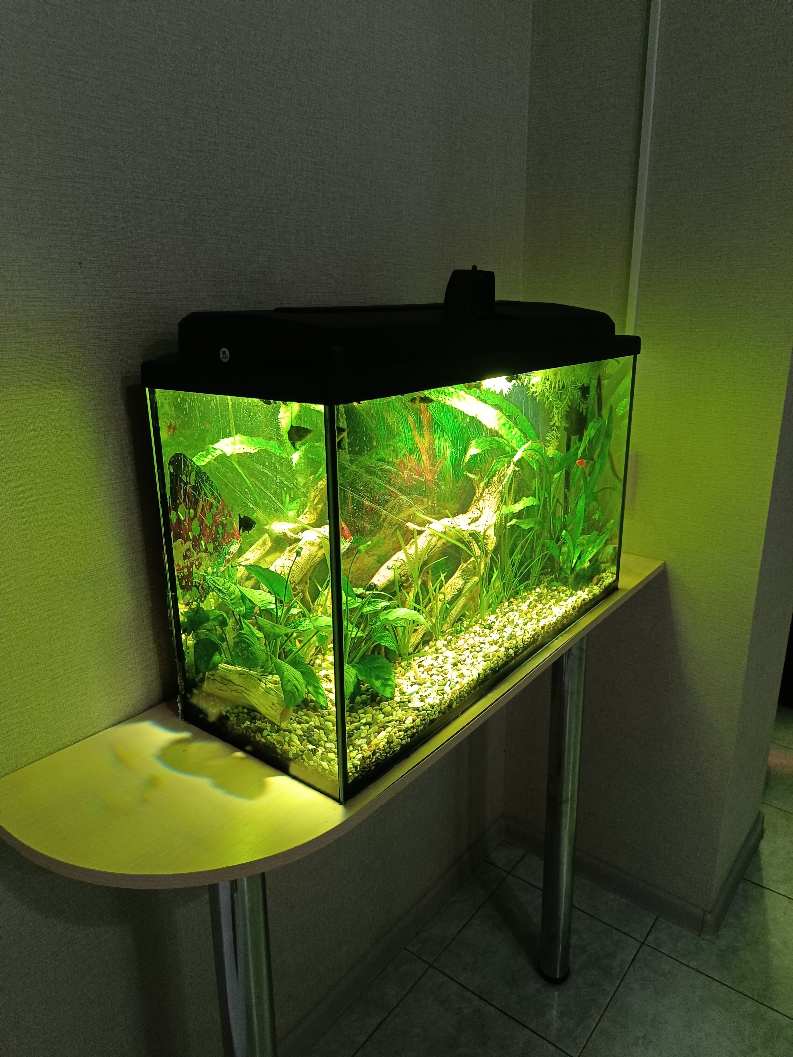 Фото Мини-гостиница на Ветеранов Октября 20