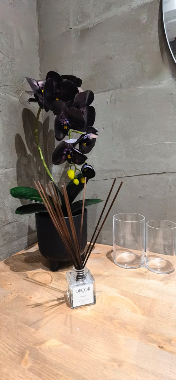 Фото Берлога