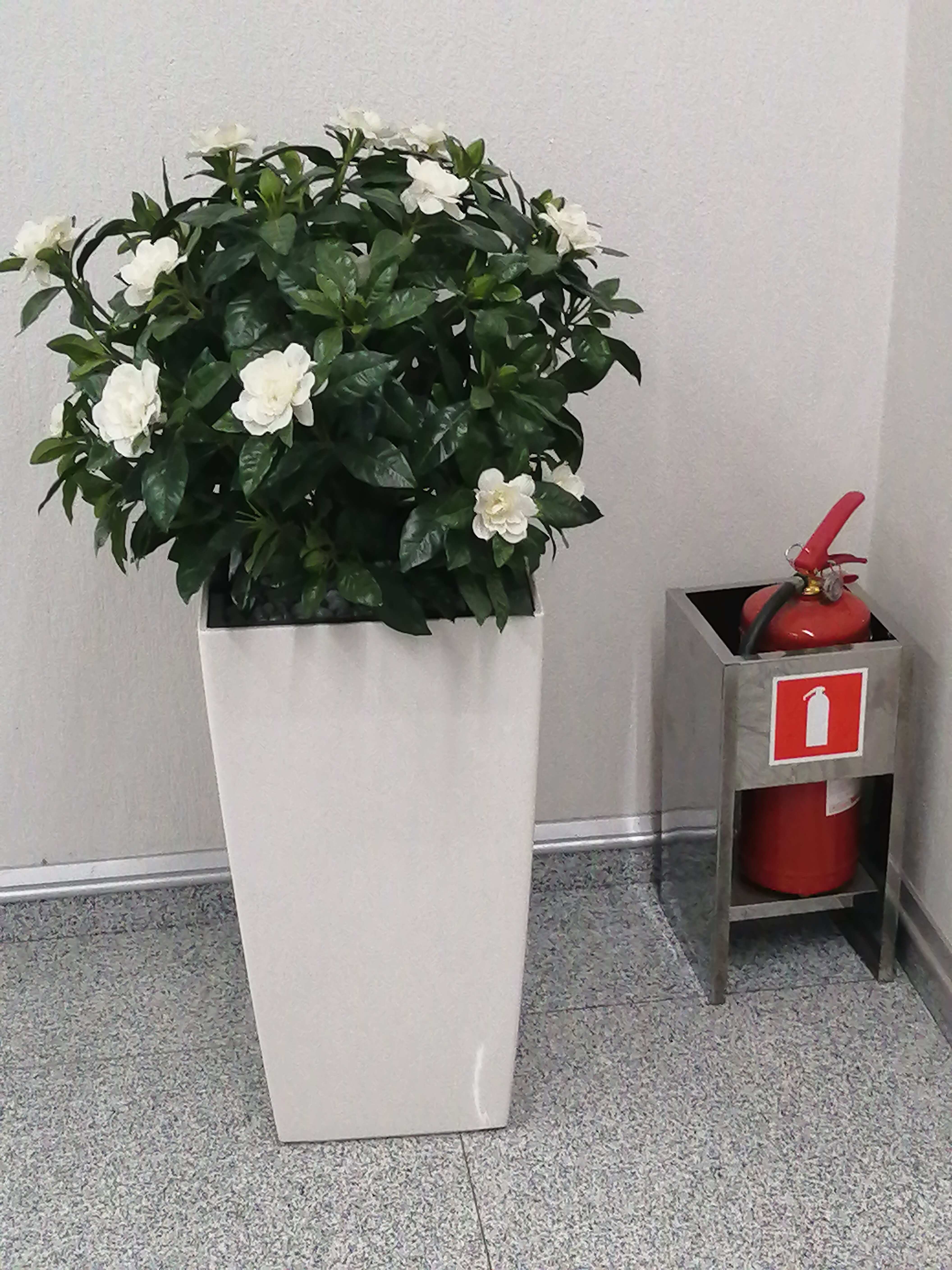 Фото Parallel Congress by Stellar Hotels