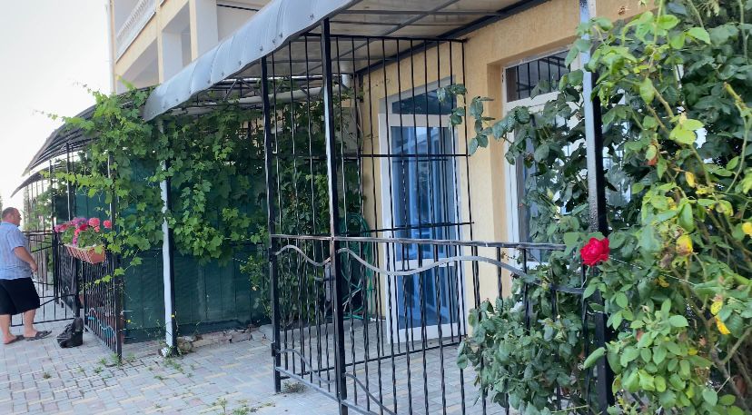 Фото Лаванда