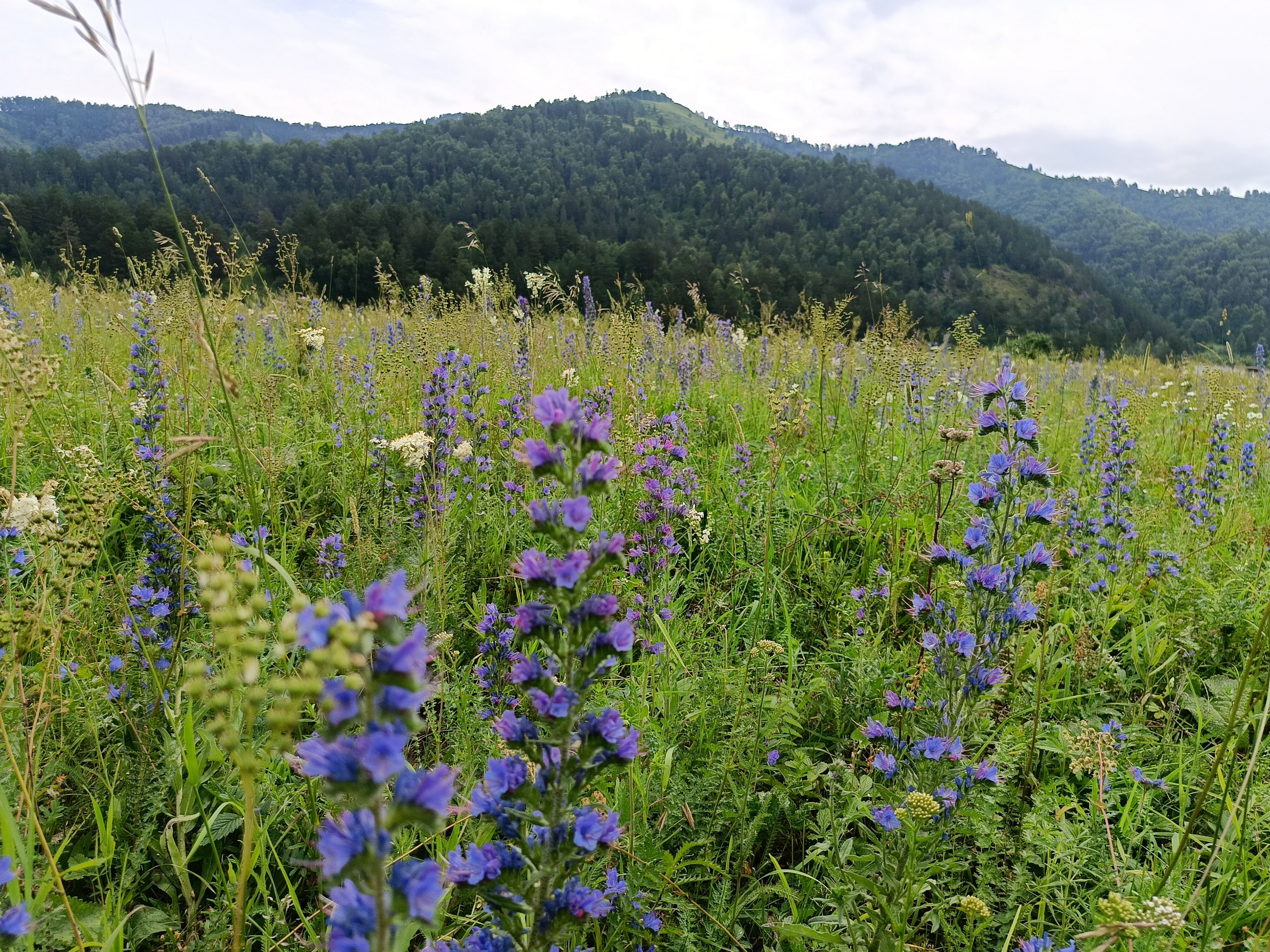 Фото Усадьба Круцких