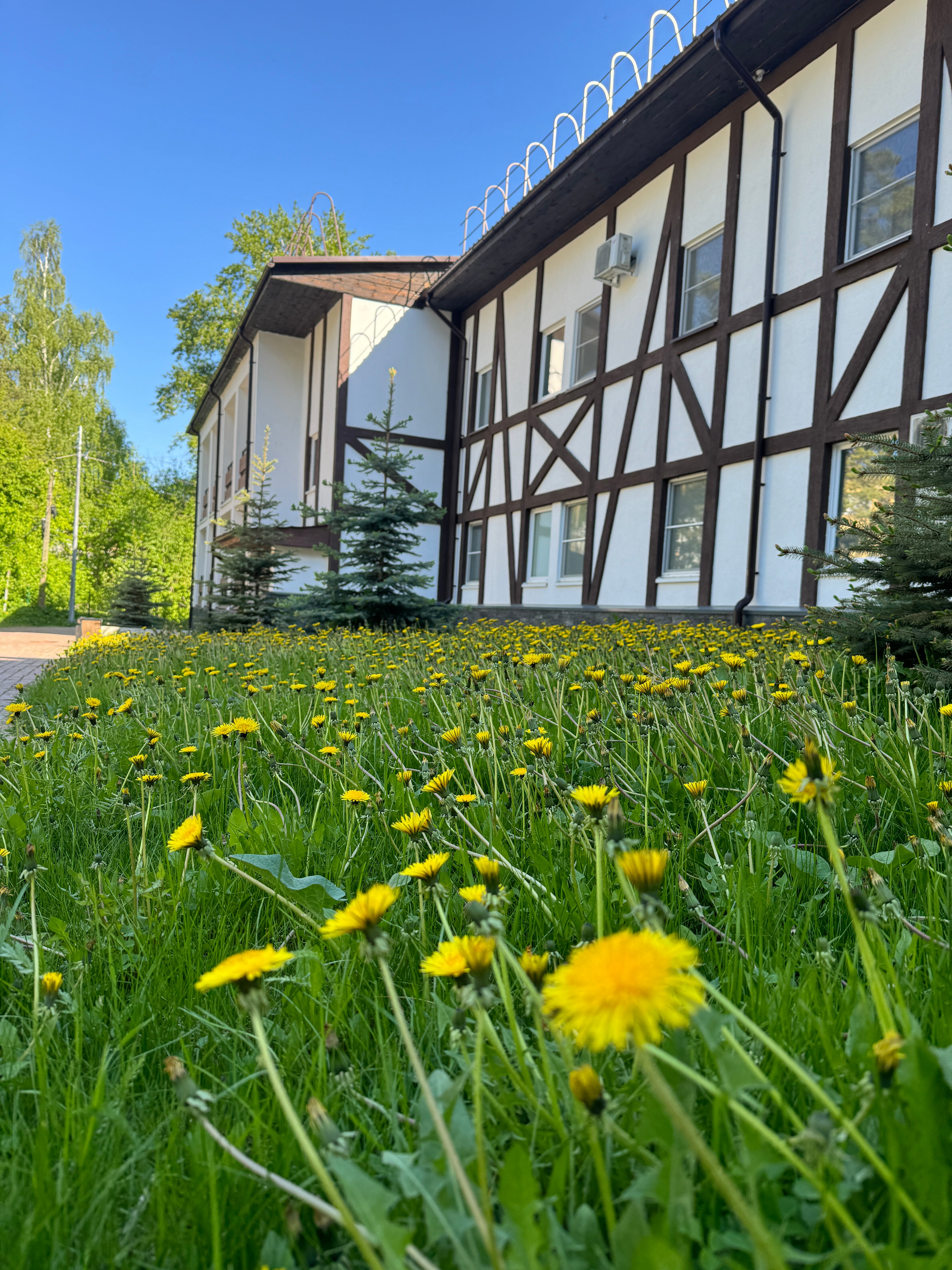 Фото Парк-отель Еловое