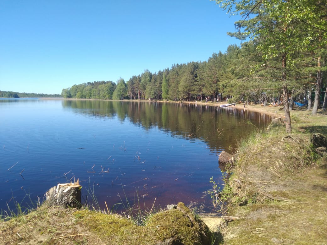 Фото Нептун