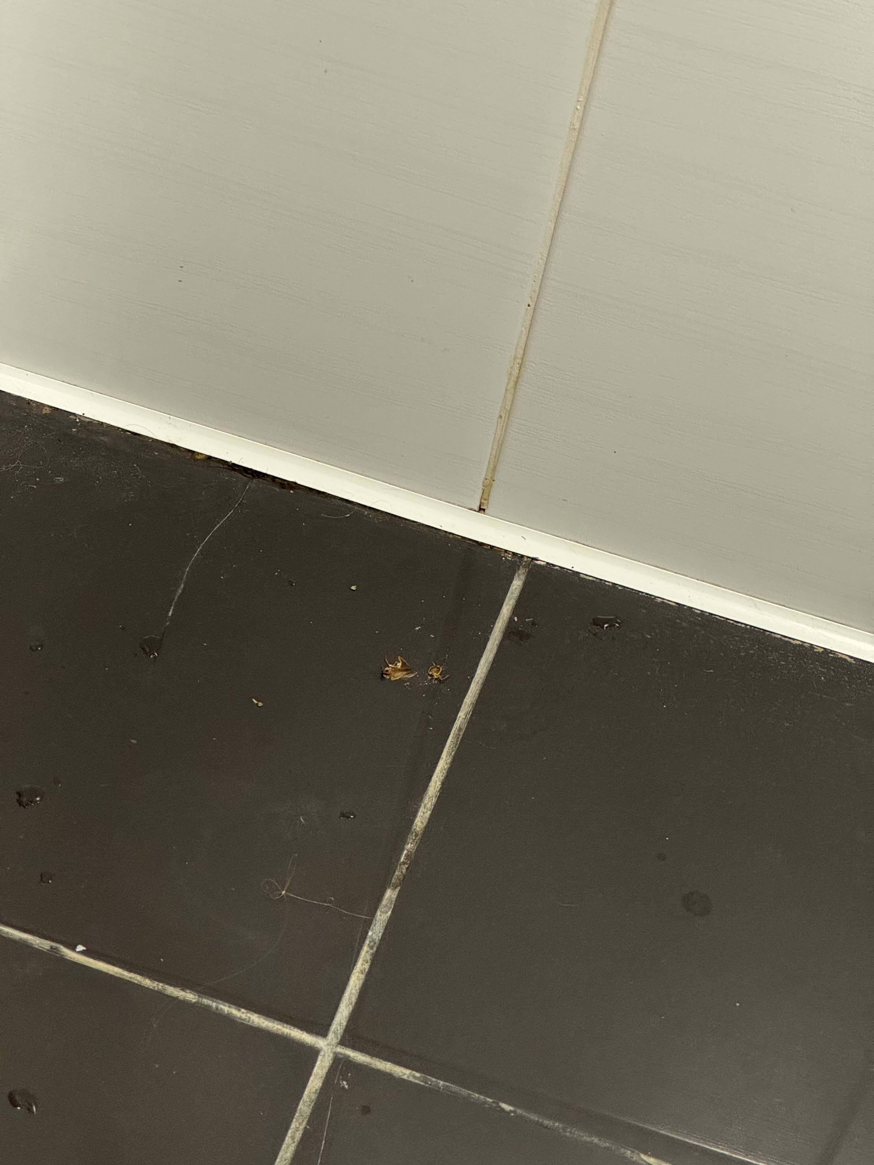 Фото Мини-отель