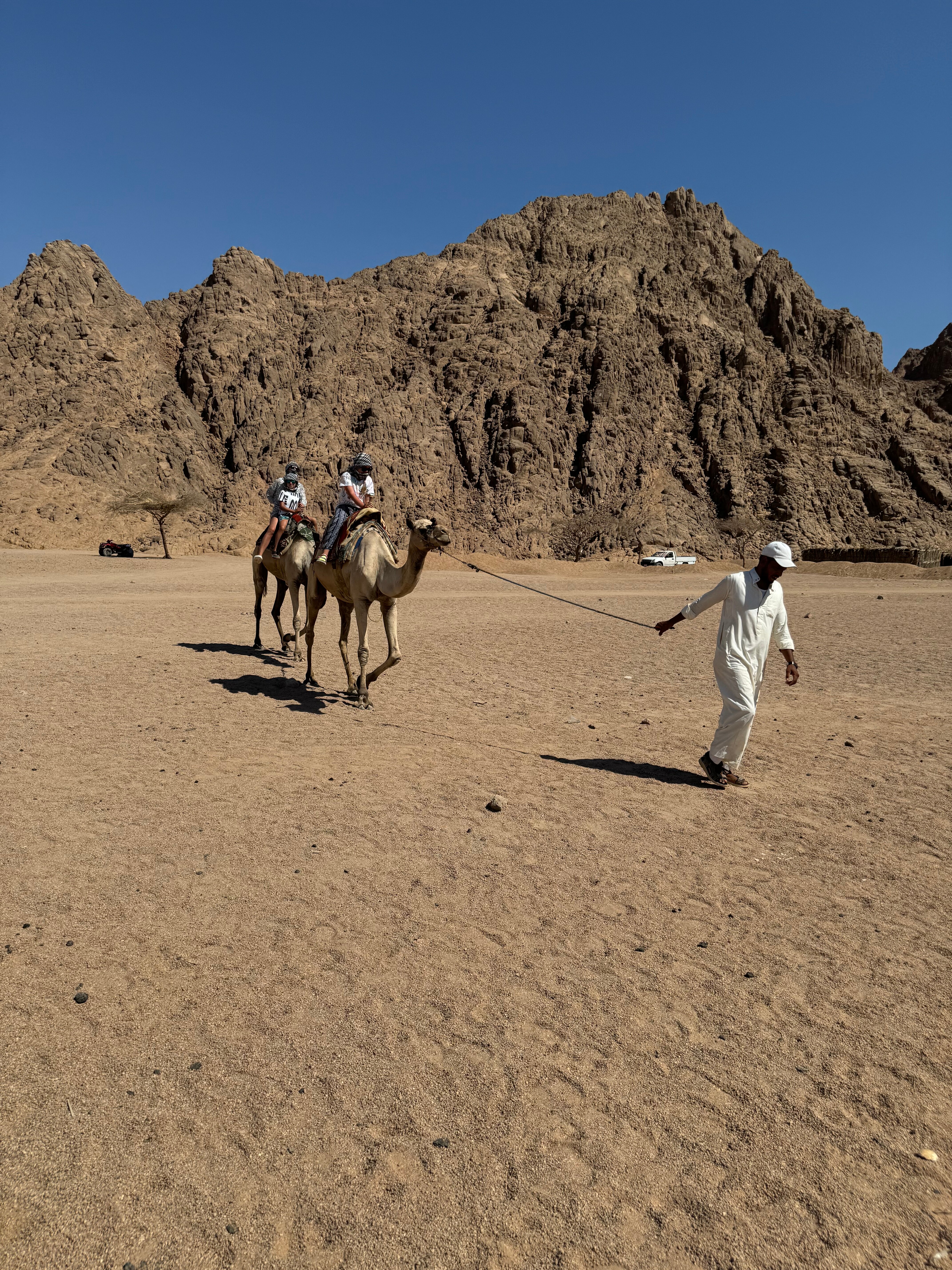 Фото Pickalbatros Palace Resort