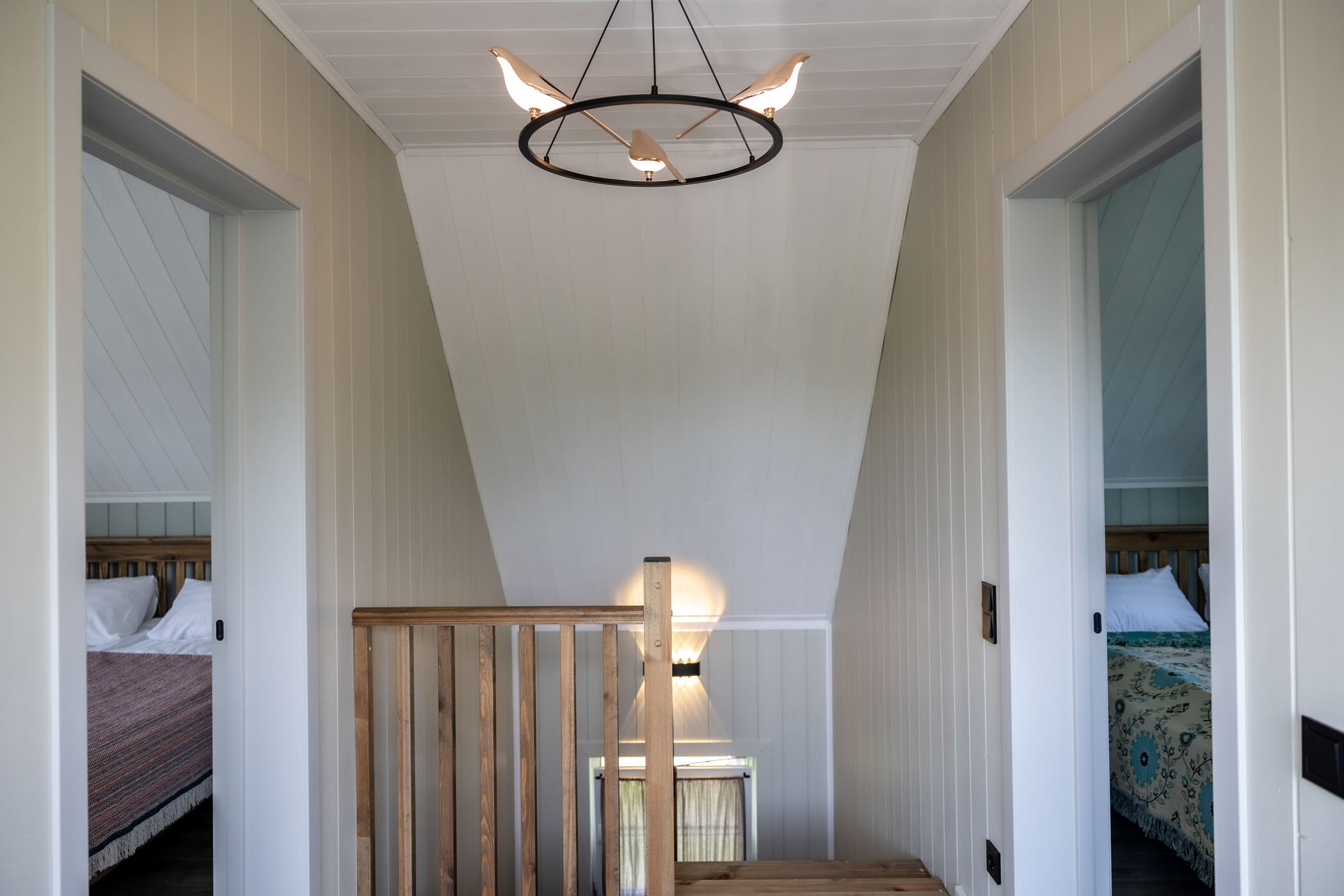 Фото Синяя синица