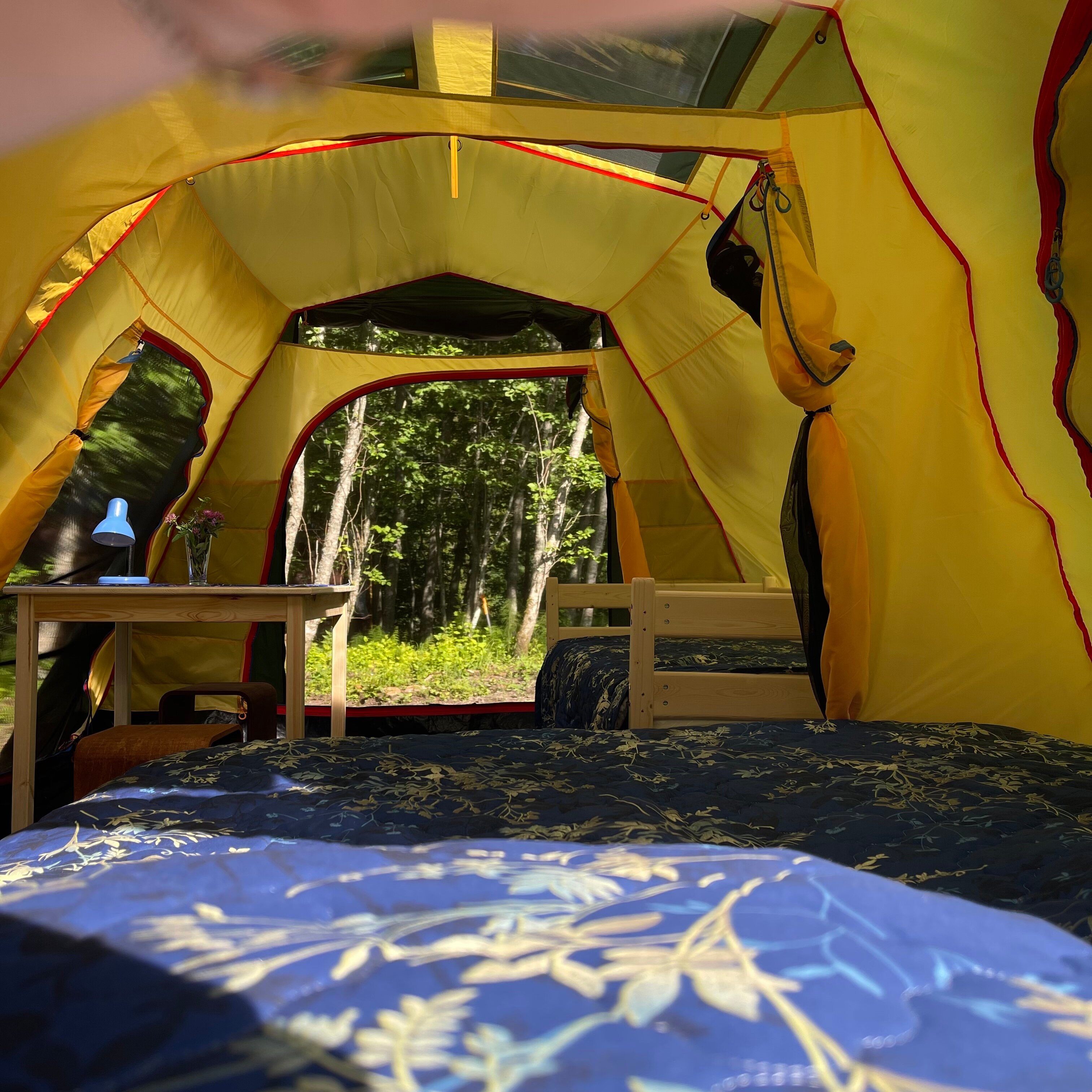 Фото Пение птиц