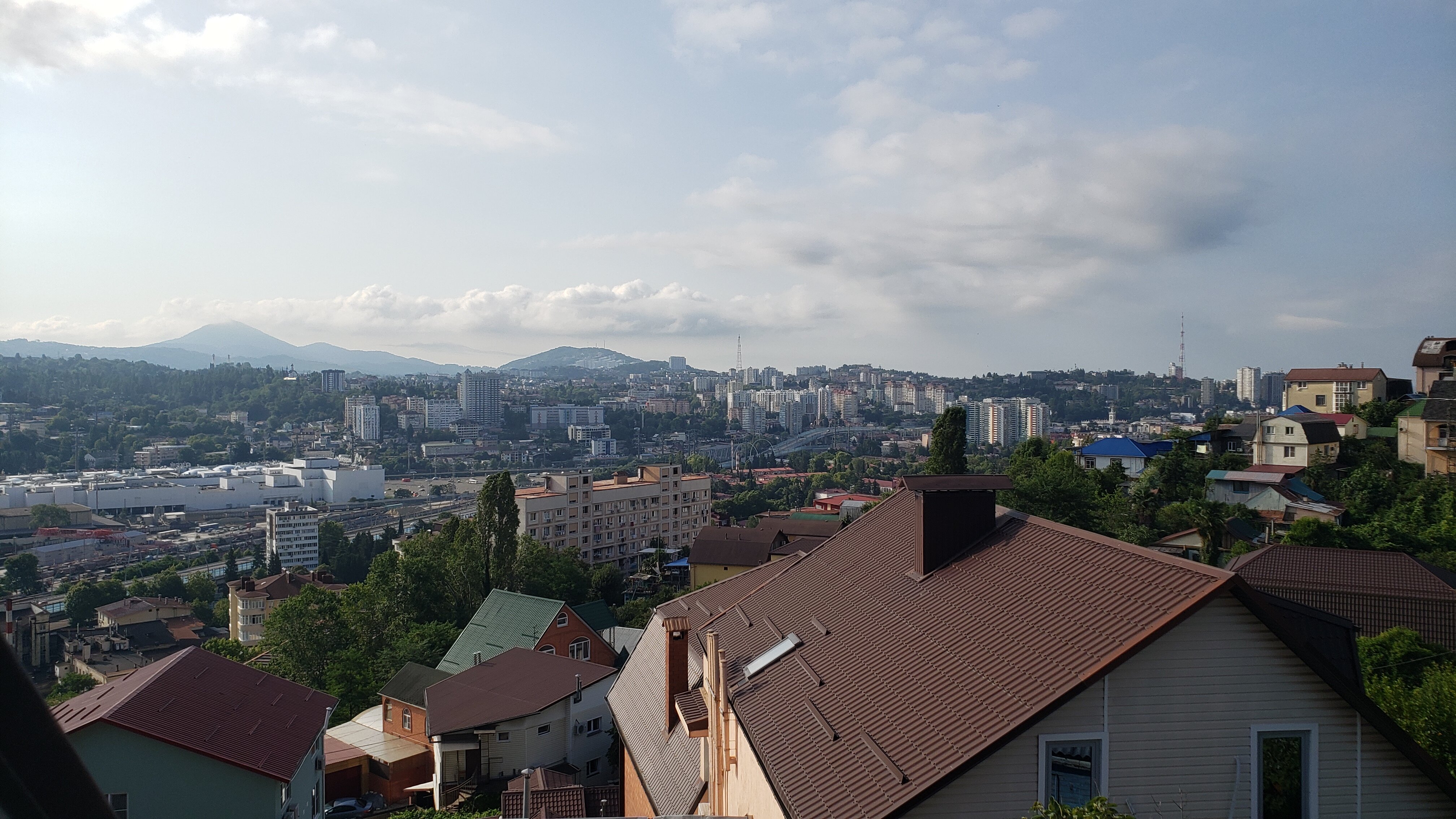 Фото Виноград